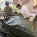 퓨어스파(pure spa) | 푸켓 신혼여행 5일차｜빠통비치, 정실론, 넘버6, 사보이 씨푸드, 마사지 🏝️