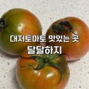대저팜 | 봄을 기다렸어! 대저토마토 먹으려고 !! 네이버 스토어 달달하지 에서 대저토마토 구매한 후기