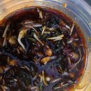 1010차 힐링오지산행 ...봄이 오는 길목 도라지사냥 효무의 72번째산행 3월8일 이미지