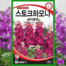 씨드하모니 이미지