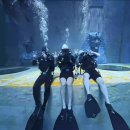 스쿠버다이버의집 | 서울 스쿠버다이빙자격증 : 오픈워터OW/어드밴스AD : 내돈내산 솔직후기 : 로켓다이브 : Roket Dive