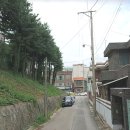 봉명중학교 이미지