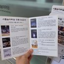 호수의오후 | 석촌호수 벚꽃길 후기 7가지, 4월 첫주 토요일 오후 직접 걸어보니 좋았던 이유