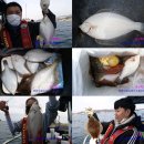 참가자미 티스토리