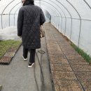 월례농장 이미지