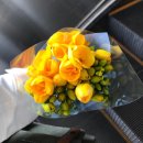 지에스25화북진서로점 | 철원 두루미, 파주 헤이리