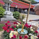 오늘 하루 ~~ 이미지