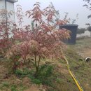 한일농장 이미지