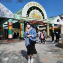 청룡카랜드 이미지