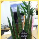 한주 공인중개사사무소 이미지