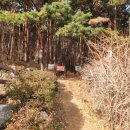 명산농장 | 영남알프스 100대 명산 신불산 최단코스 건암사입구 신불재