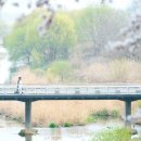 홈플러스 조치원점 이미지