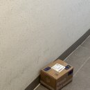 신선한 샐러드 샌드위치 정기구독 가능한 본핏 샐러드다이어트도시락 후기(+30대, 40대 다이어트 도시락...
