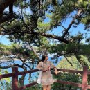 저두 출렁다리입구 | 울산 가을 산책하기 좋은 대왕암공원 꽃무릇 출렁다리 주차장 동구 가볼만한곳