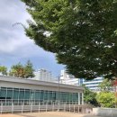 임시수도기념로 이미지