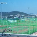 보령종합체육관 스쿼시장 네이버블로그