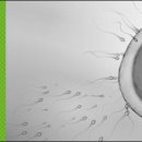 안산연세병원 이미지