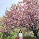 각원사약수 이미지