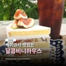 달콤하우스 | 달콤비니하우스 창원 케이크 맛집 | 디저트가 맛있는 카페