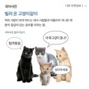 만수목욕탕 | 따뜻했던 지난 겨울