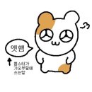 청라토방닭한마리