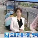 변약초 이미지
