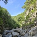 신선계곡주차장 이미지