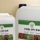 신바람과일 이미지