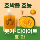 천호농원 | 호박즙 효능 붓기 다이어트 완벽 정리