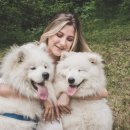 마이펫택시 이미지