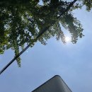 서울카센터 이미지