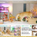 힐링캐터리 이미지