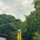 감나무백숙식당