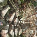 하늘 | 가평 설악 하늘계곡 캠핑장 솔직 후기! 서울 근교 계곡 캠핑 추천