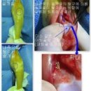 사우동골 이미지
