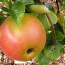 신강농장 이미지