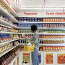 댕댕이의 하루 이미지