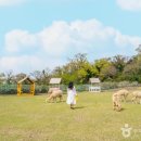 별하농장 이미지