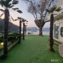 1971 | 경남 통영 예쁜 카페, '통영 장문1971' 유러피안 레스토랑&amp;카페 방문 후기