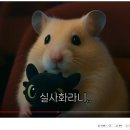 리빙갓인테리어 이미지