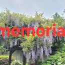 For delay dementia 1,261 Easy english 이미지