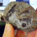 READ n PLAY(For Book Quiz) 이미지