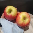 (주)아이언크로스 이미지