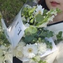 라폰타나 이미지
