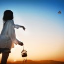 종이비행기 이미지