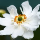 홈플러스 죽도점 이미지