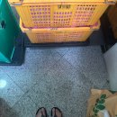 비오는날 <b>이사</b>한 실화 후기...미리 준비하면 좋을 팁 공유