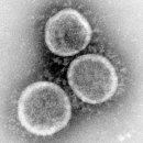 이노약품 이미지