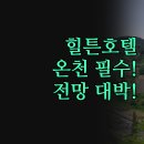 힐튼모텔 | 타우포 호텔 추천 | 힐튼 와이라케이 애쉬브룩 | 온천 수영장 전망 후기 | 여행 스타일에 맞는 완벽 분석