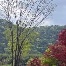 gs25 울산태화강 이미지